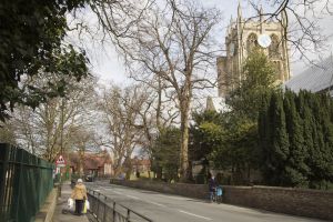 cottingham 16 sm.jpg